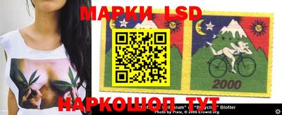 прущие грибы Донской