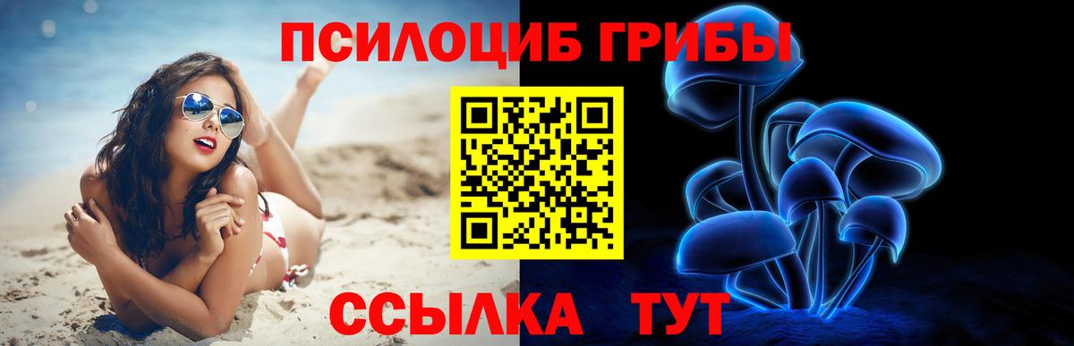Галлюциногенные грибы мицелий  Вход с VPN  Стерлитамак 